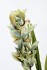 Орхидея CYMBIDIUM белая искусственная в горшке h110 см (TT-00010053)