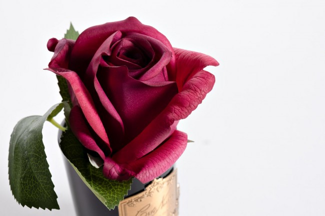 Диффузор Rose Bud Red, спрей Rose Petal 5мл в упаковке (TT-00006250)
