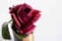 Диффузор Rose Bud Red, спрей Rose Petal 5мл в упаковке (TT-00006250)