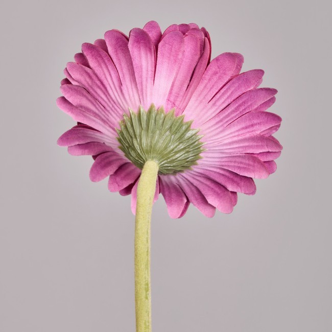 Цветок искусственный "гербера" высота=61см. Lefard (287-563) Цветок искусственный "гербера" высота=61см. Lefard (287-563)