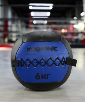 Медбол INSANE IN24-WB100, 6 кг, синий (2111038) Медбол INSANE IN24-WB100, 6 кг, синий (2111038)