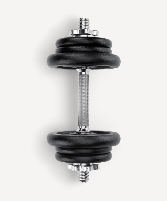 Гантель разборная чугунная в коробке STARFIT DB-715, 10 кг (2107616)