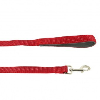 Поводок светоотражающий нейлон/неопрен Каскад Премиум 2,5 см, длина 1,5 м, красный (82974) Поводок светоотражающий нейлон/неопрен Каскад Премиум 2,5 см, длина 1,5 м, красный (82974)