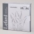 Набор тарелок десертных lefard "lavender" 2 шт. 19*2 см Lefard (761-140)