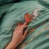 Кпб, евро, "passage" зеленый, сатин, хлопок 100%, подод.200х220-1шт, пр.240х240-1шт, нав.50х70-2шт Lefard (989-001-03) Кпб, евро, "passage" зеленый, сатин, хлопок 100%, подод.200х220-1шт, пр.240х240-1шт, нав.50х70-2шт Lefard (989-001-03)