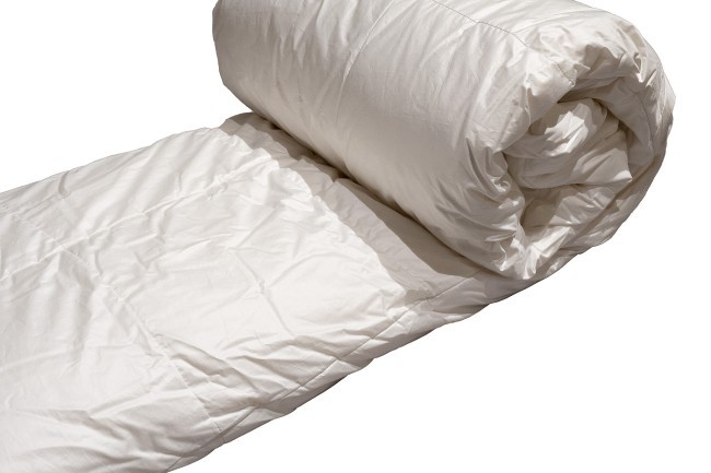 Одеяло Орион 260*240 экстра, 100% пух сибирского гуся белый (TT-00013120)