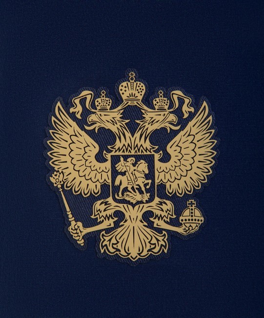 Шорты тренировочные JOGEL NATIONAL PerFormDRY Training Shorts, темно-синий (2110559) Шорты тренировочные JOGEL NATIONAL PerFormDRY Training Shorts, темно-синий (2110559)