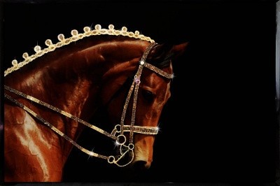 Картина Конь с кристаллами Swarovski (2348)