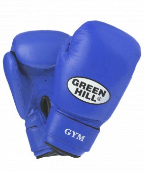 Перчатки боксерские GYM BGG-2018, 12oz, кожа, синие (4493)