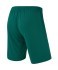 Шорты игровые JÖGEL CAMP Classic Shorts, темно-зеленый, детский (2121042)