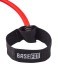 Эспандер лыжника-пловца BASEFIT ES-901, 8х14х2200 мм, 5 кг, красный (1483969)