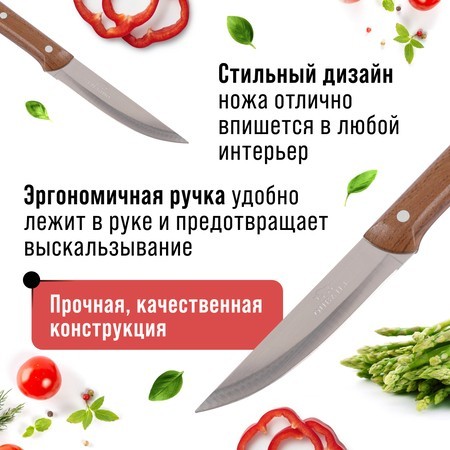 Нож универсальный нерж/ст/бакелит Mayer&Boch (28005-1) Нож универсальный нерж/ст/бакелит Mayer&Boch (28005-1)