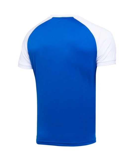 Футболка игровая JOGEL CAMP Reglan Jersey, синий/белый (701688) Футболка игровая JOGEL CAMP Reglan Jersey, синий/белый (701688)