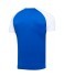 Футболка игровая JOGEL CAMP Reglan Jersey, синий/белый (701688) Футболка игровая JOGEL CAMP Reglan Jersey, синий/белый (701688)