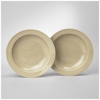 Набор тарелок суповых lefard tint 22,5 см (фисташковый) 2 шт. Lefard (48-857-1)