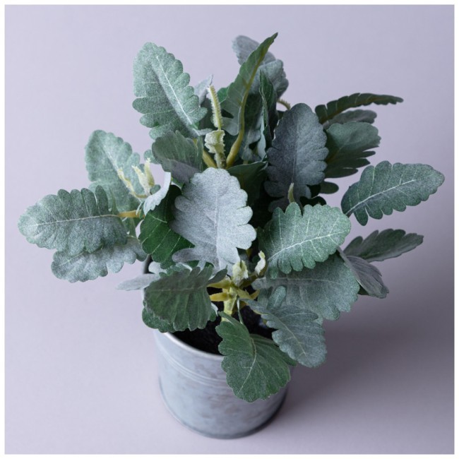 Композиция декоративная "каланхое" высота=23 см Lefard (287-558)