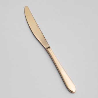 Набор столовых приборов senso agness 24 пр., сталь 18/10, пвд покрытие, цвет: шампань Agness (1000-030)