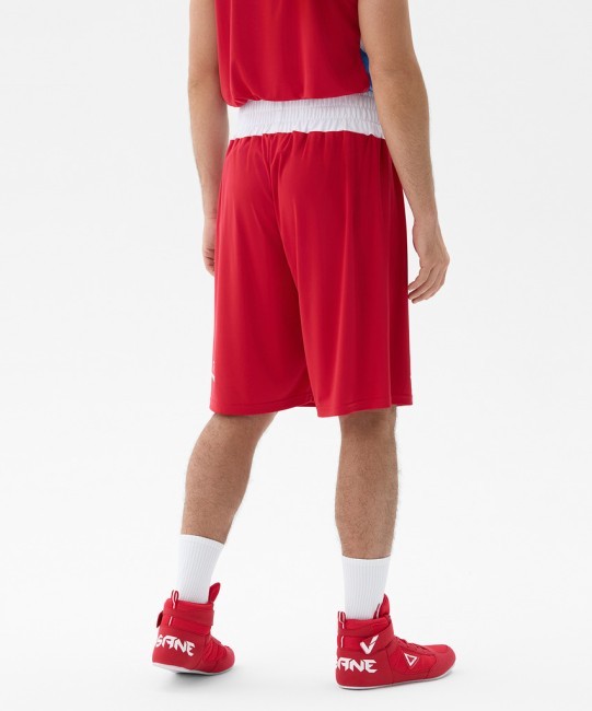 Шорты боксерские INSANE RBF, красный (2133704)