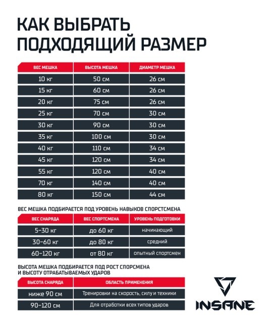 Мешок боксерский INSANE PB-01, 75 см, тент, 20 кг, черный (2043456)