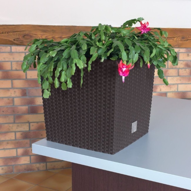 Кашпо для цветов Rato Low DRTS325L-440U (21/32 л) 2 предмета (56305) Кашпо для цветов Rato Low DRTS325L-440U (21/32 л) 2 предмета (56305)