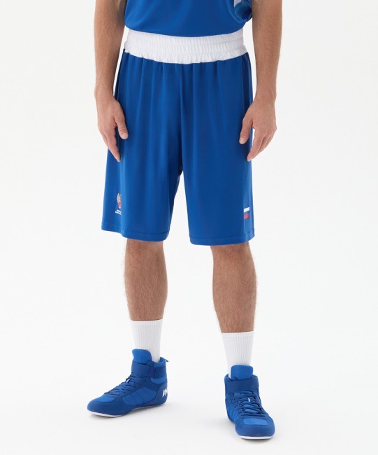 Шорты боксерские INSANE RBF, синий (2133706)