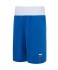 Шорты боксерские INSANE RBF, синий (2133706)