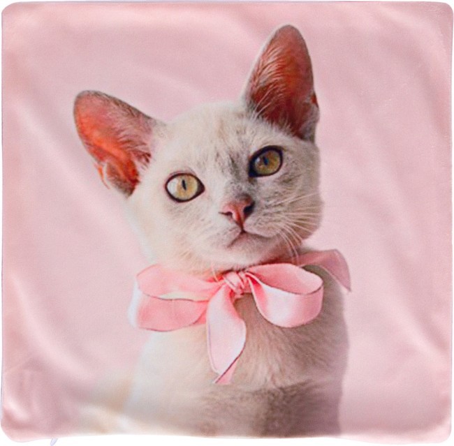 Декоративная наволочка 35*35 см, 100% п/э, ткань, печать SANTALINO (826-031) Декоративная наволочка 35*35 см, 100% п/э, ткань, печать SANTALINO (826-031)