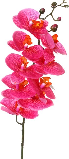 Цветок искусственный "орхидея" длина=90 см Huajing Plastic (23-280) Цветок искусственный "орхидея" длина=90 см Huajing Plastic (23-280)