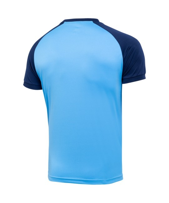 Футболка игровая JOGEL CAMP Reglan Jersey, синий/темно-синий (701790) Футболка игровая JOGEL CAMP Reglan Jersey, синий/темно-синий (701790)
