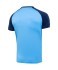 Футболка игровая JOGEL CAMP Reglan Jersey, синий/темно-синий (701790) Футболка игровая JOGEL CAMP Reglan Jersey, синий/темно-синий (701790)
