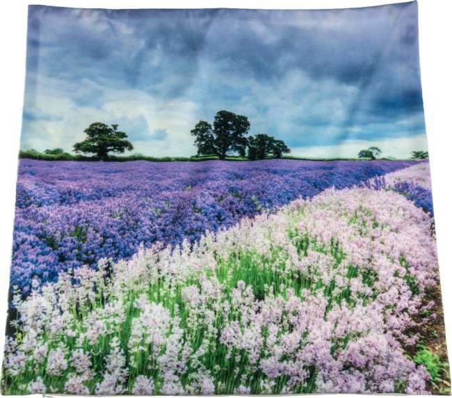 Декоративная наволочка 45*45 см, 100% п/э, ткань, печать SANTALINO (826-024) Декоративная наволочка 45*45 см, 100% п/э, ткань, печать SANTALINO (826-024)