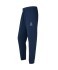 Флисовые брюки JÖGEL ESSENTIAL Cotton Fleece Pants, темно-синий (2122144)
