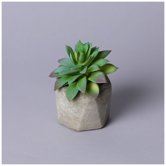 Суккулент искусственный в горшке 13*13см мал.уп.=24шт Lefard (535-400)