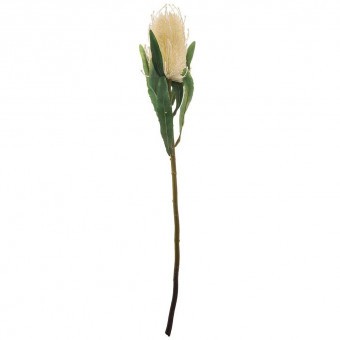 Цветок искусственный "протея" высота=63 см без упаковки Lefard (278-126)