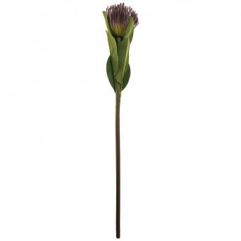 Цветок искусственный "леукоспермум" высота=68 см без упаковки Lefard (265-601)
