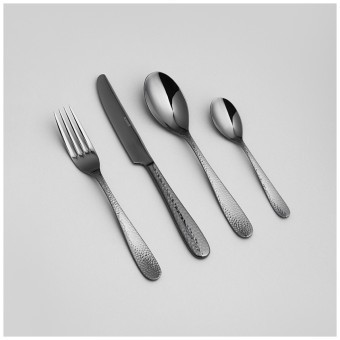 Набор столовых приборов regina agness 16 пр., сталь 18/10, пвд покрытие, цвет: черный Agness (1000-012)