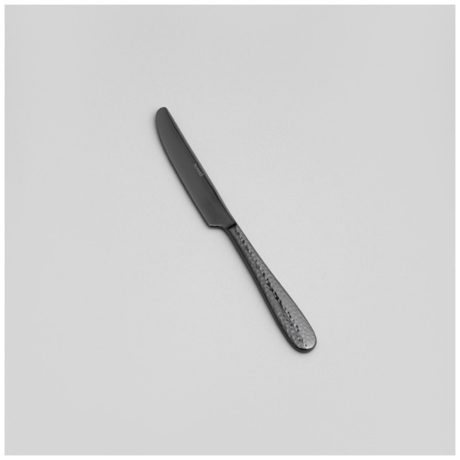 Набор столовых приборов regina agness 16 пр., сталь 18/10, пвд покрытие, цвет: черный Agness (1000-012) Набор столовых приборов regina agness 16 пр., сталь 18/10, пвд покрытие, цвет: черный Agness (1000-012)