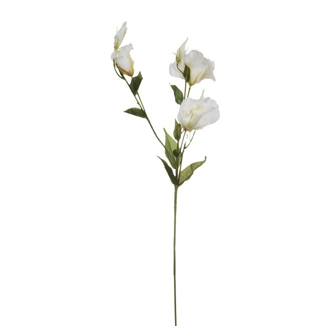 Лизиантус белый, 78см (36) (00002215) Лизиантус белый, 78см (36) (00002215)