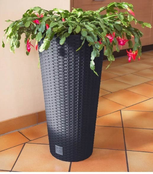 Кашпо для цветов Rato Tubus DRTUS300-440U (15/27 л) 2 предмета (56313) Кашпо для цветов Rato Tubus DRTUS300-440U (15/27 л) 2 предмета (56313)