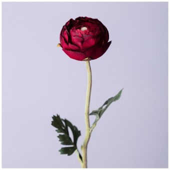 Цветок искусственный "ранункулюс" высота=50см. Lefard (287-540) Цветок искусственный "ранункулюс" высота=50см. Lefard (287-540)