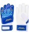 Перчатки вратарские JOGEL Training Flat (862520) Перчатки вратарские JOGEL Training Flat (862520)