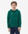 Худи JOGEL ESSENTIAL Cotton Hoodie, темно-зеленый, детский (2121856) Худи JOGEL ESSENTIAL Cotton Hoodie, темно-зеленый, детский (2121856)