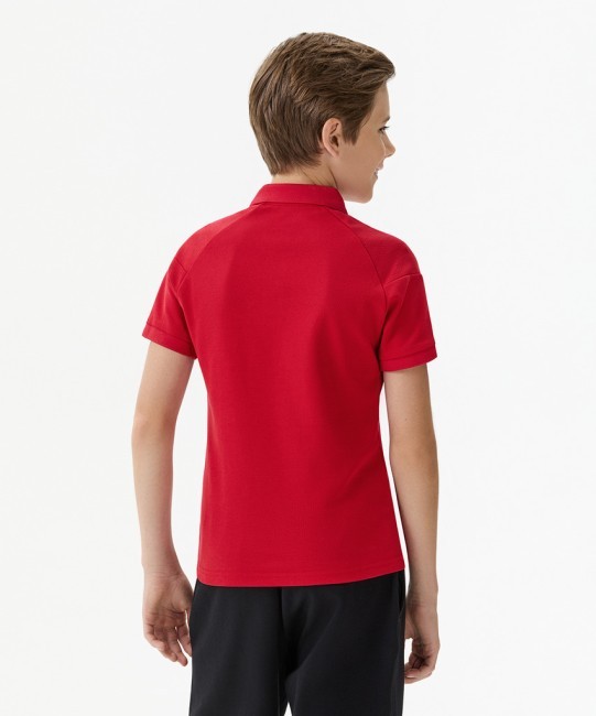 Поло JÖGEL ESSENTIAL CVC Polo CZ, красный (2118628) Поло JÖGEL ESSENTIAL CVC Polo CZ, красный (2118628)