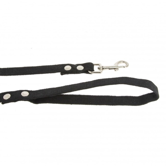 Поводок брезентовый Каскад 2,5 см, длина 2 м (83006) Поводок брезентовый Каскад 2,5 см, длина 2 м (83006)