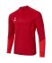 Джемпер тренировочный JOGEL PREMIER PerFormDRY Training Zip Top, темно-красный/красный (2120760)