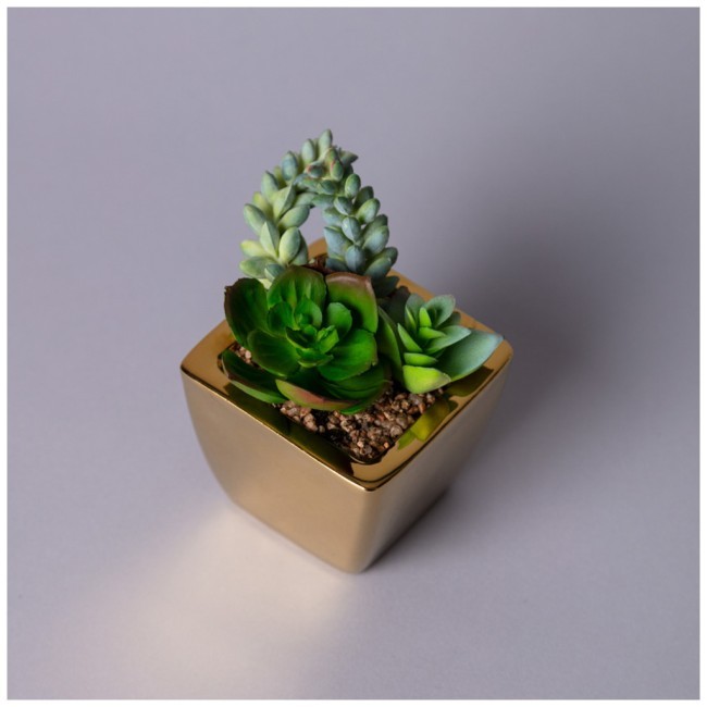 Суккулент искусственный в горшке 8*12см мал.уп.=24шт Lefard (535-437)