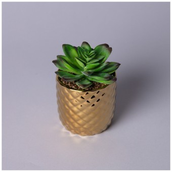 Суккулент искусственный в горшке 9*13см мал.уп.=12шт Lefard (535-438)