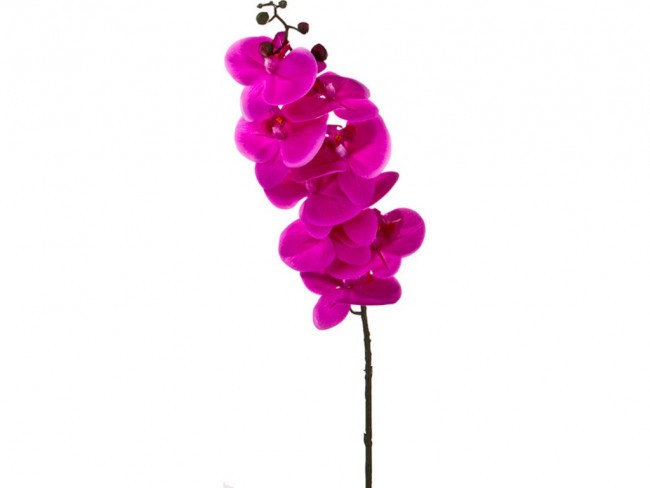 Цветок искусственный длина=90 см. Huajing Plastic (23-734)