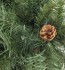 Ель Royal Christmas Detroit с шишками 527120 (120 см) (51703)