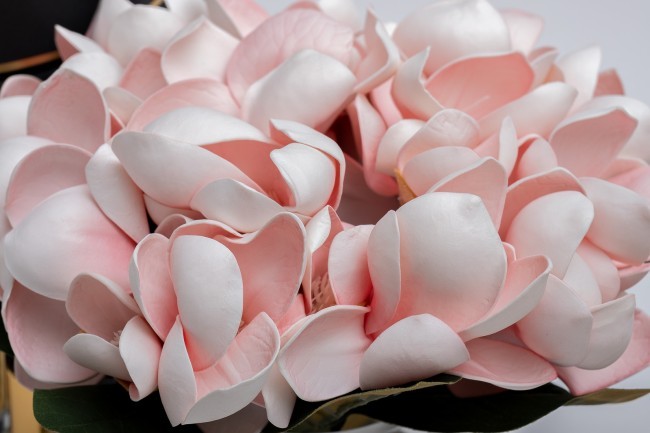 Диффузор Magnolia pink , спрей Winter in Chateau 10ml + спрей Charente rose 10ml в упак. (TT-00014739) Диффузор Magnolia pink , спрей Winter in Chateau 10ml + спрей Charente rose 10ml в упак. (TT-00014739)